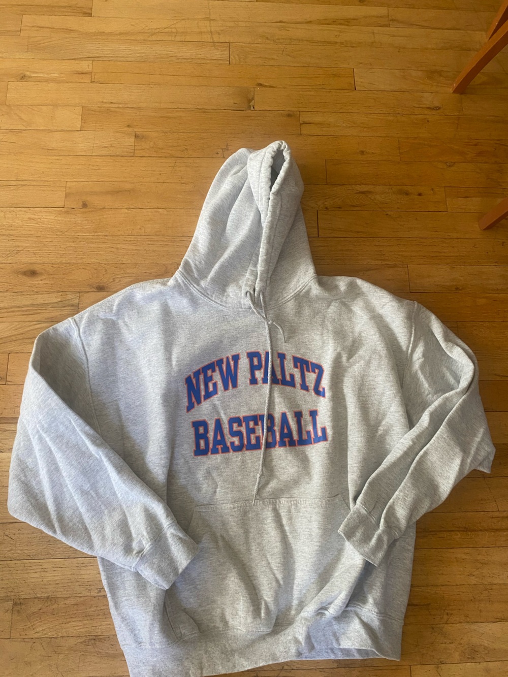 Gildan dry blend xl new paltz baseball hoodie!! Like new!!